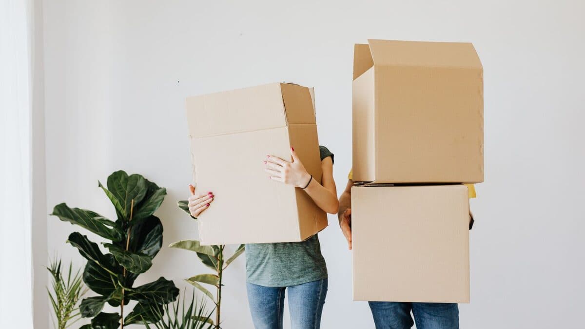 Deux personnes transportent des cartons lors du tri et de l'évacuation des biens d'un logement.